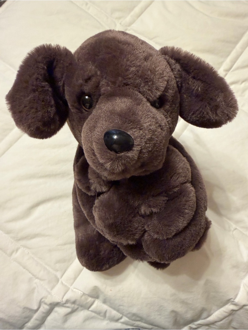 FAO Schwarz Plush Brown Mama & Puppy Dog Stuffed Toy Set - Dark Brown